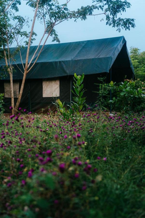 Beyond Community Auroville Exterior foto