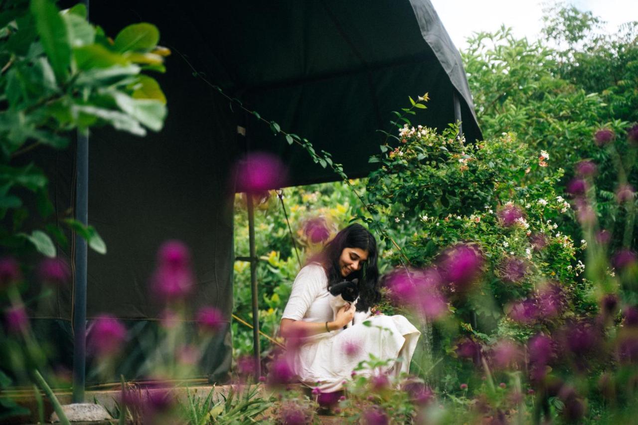 Beyond Community Auroville Exterior foto