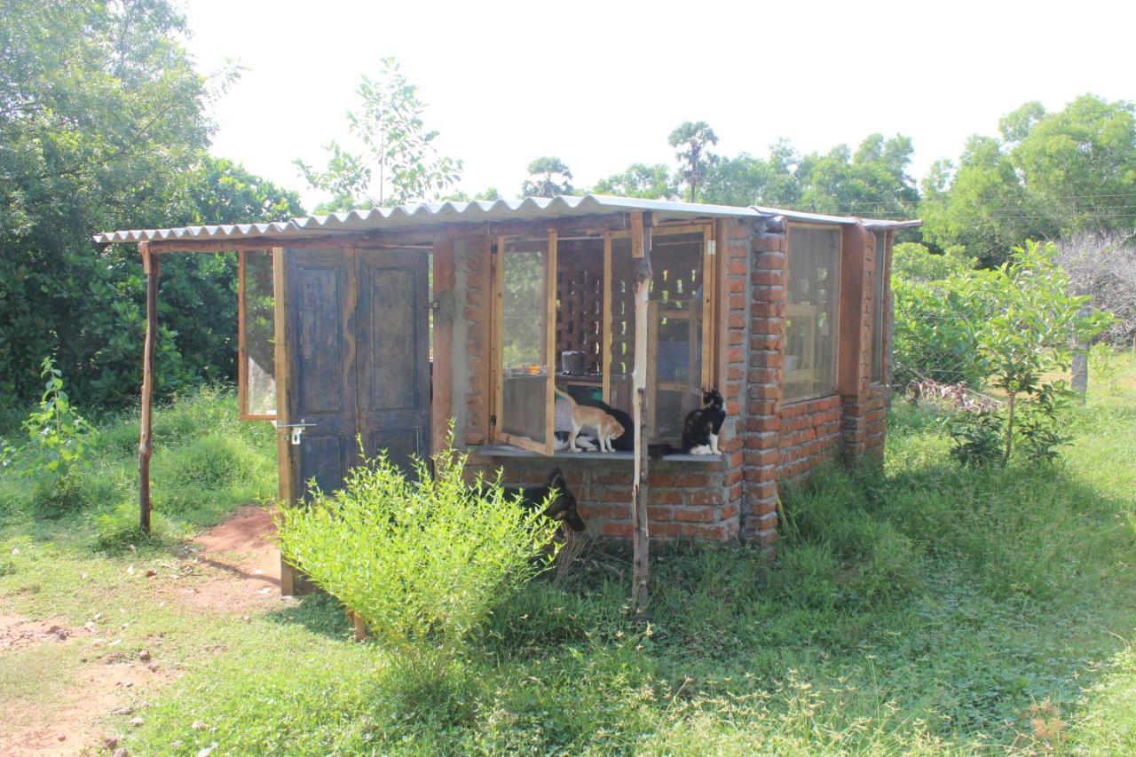 Beyond Community Auroville Exterior foto