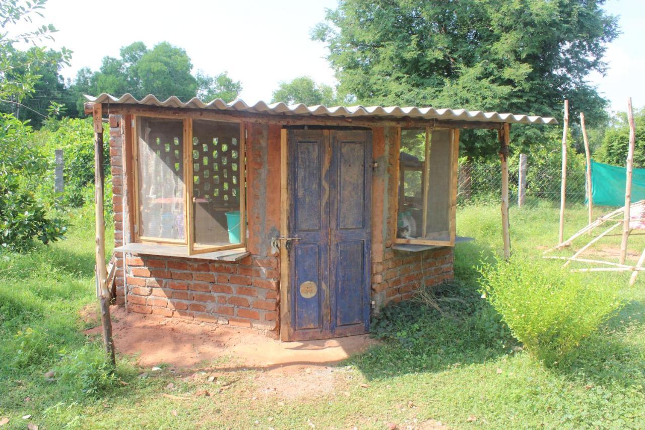 Beyond Community Auroville Exterior foto